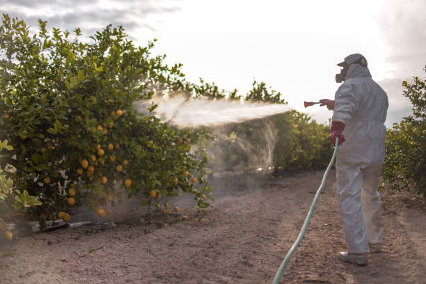 Professional Pest Control in Goodrich, MI