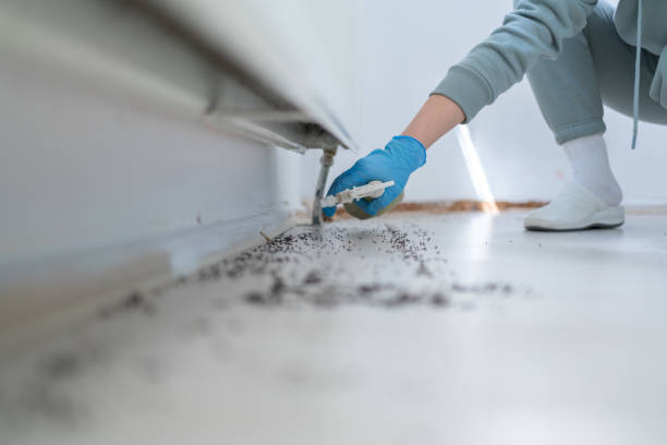 Insect Control in Goodrich, MI